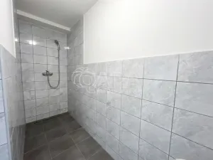 Prodej rodinného domu, Ostrava - Zábřeh, Karpatská, 200 m2