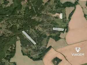 Prodej podílu lesa, Všepadly, 1092 m2
