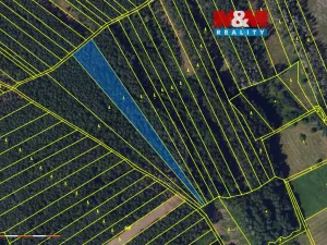 Prodej lesa, Vanovice, 5370 m2