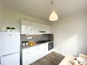 Pronájem bytu 1+1, Mladá Boleslav, Jana Palacha, 41 m2