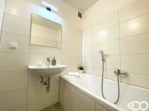 Pronájem bytu 1+1, Mladá Boleslav, Jana Palacha, 41 m2