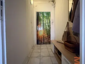 Prodej bytu 1+1, Chomutov, Hornická, 36 m2