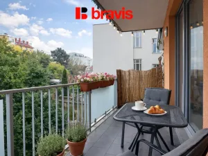 Pronájem bytu 1+kk, Brno - Staré Brno, Úvoz, 47 m2