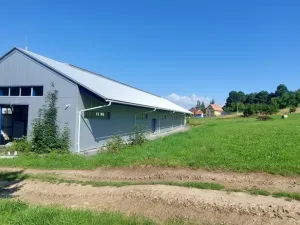 Pronájem výrobních prostor, Valašské Meziříčí - Bynina, 820 m2
