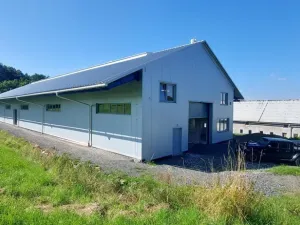 Pronájem výrobních prostor, Valašské Meziříčí - Bynina, 820 m2