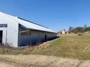Pronájem výrobních prostor, Valašské Meziříčí - Bynina, 820 m2