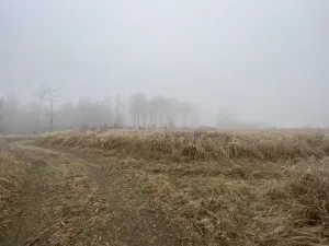 Prodej lesa, Městečko Trnávka - Lázy, 32904 m2