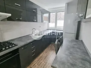 Pronájem bytu 2+1, Vyškov - Vyškov-Předměstí, Švermova, 54 m2