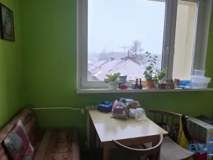 Pronájem bytu 1+1, Jeseník, Dukelská, 37 m2