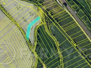 Prodej pole, Kyjov, 69892 m2