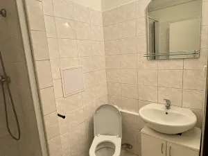 Pronájem bytu 1+kk, Brno, Jedovnická, 20 m2