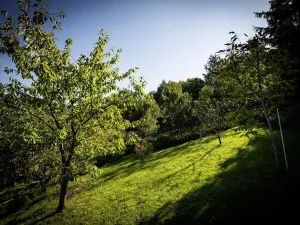 Pronájem bytu 1+1, Děčín, Žlebská, 50 m2