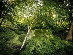 Pronájem bytu 1+1, Děčín, Žlebská, 50 m2