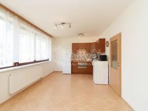 Pronájem bytu 1+kk, Praha, 42 m2
