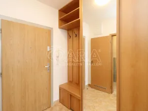 Pronájem bytu 1+kk, Praha, 42 m2
