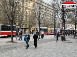 Pronájem obchodního prostoru, Brno, Joštova, 86 m2