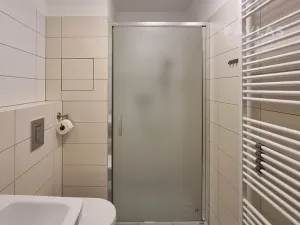 Pronájem bytu 1+kk, České Budějovice, Lidická tř., 29 m2