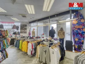 Pronájem obchodního prostoru, Plzeň - Vnitřní Město, Zbrojnická, 598 m2