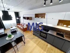 Pronájem bytu 2+kk, Brno, Cejl, 48 m2