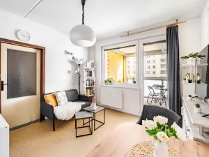 Prodej bytu 1+1, České Budějovice, N. Frýda, 41 m2