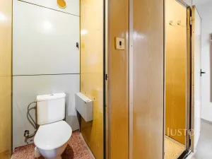 Prodej bytu 1+1, České Budějovice, N. Frýda, 41 m2