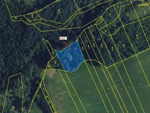 Dražba lesa, Spešov, 1590 m2