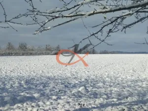 Prodej pozemku pro bydlení, Bělotín, 2600 m2