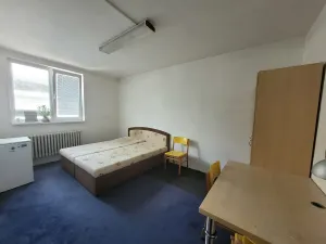 Pronájem pokoje, Brno, Vídeňská, 15 m2