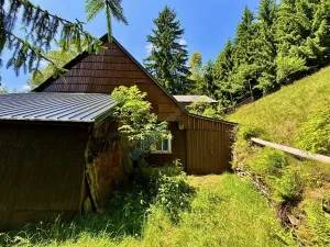 Prodej chalupy, Malá Úpa, 158 m2