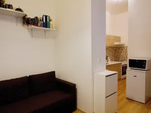 Pronájem bytu 1+kk, Brno, Koliště, 23 m2