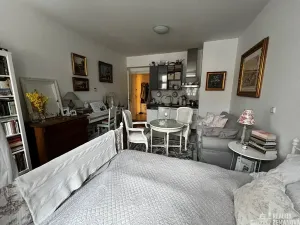 Pronájem bytu 1+kk, Praha - Vinohrady, Korunní, 31 m2