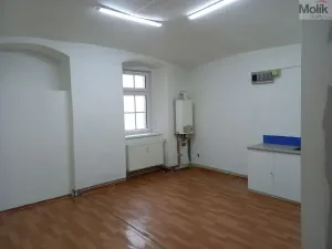 Pronájem skladu, Krupka - Bohosudov, Koněvova, 50 m2