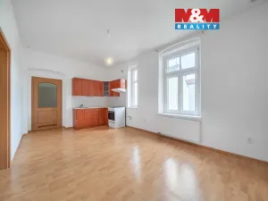Pronájem bytu 1+1, Plzeň - Východní Předměstí, 44 m2