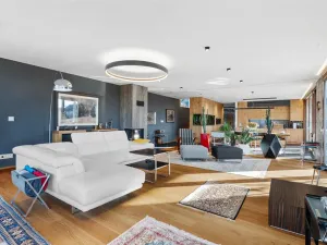 Prodej rodinného domu, Tmaň, Prof. Krbce, 294 m2