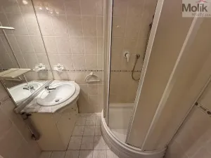 Pronájem bytu 2+1, Litvínov - Horní Litvínov, Ukrajinská, 54 m2