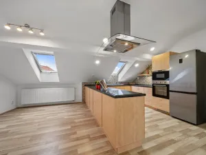 Prodej bytu 4+kk, Brno - Husovice, Nováčkova, 138 m2