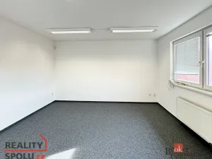 Pronájem kanceláře, Ostrava - Hrušov, Plechanovova, 21 m2