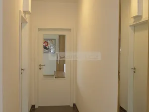 Pronájem bytu 2+kk, Plzeň - Jižní Předměstí, Stehlíkova, 67 m2