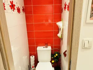 Prodej bytu 3+1, České Budějovice - České Budějovice 2, J. Bendy, 70 m2