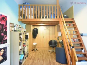 Prodej bytu 2+1, Brno - Staré Brno, Hybešova, 66 m2