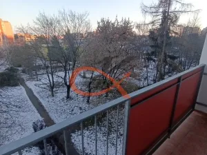 Pronájem bytu 1+1, Olomouc, Heyrovského, 33 m2