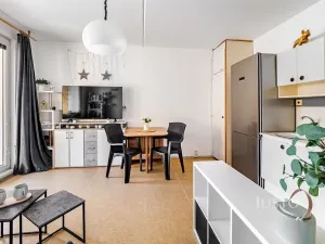 Prodej bytu 1+1, České Budějovice, N. Frýda, 41 m2