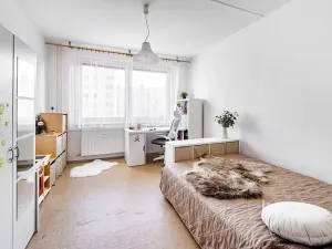 Prodej bytu 1+1, České Budějovice, N. Frýda, 41 m2