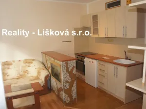 Pronájem bytu 1+1, Ústí nad Labem - Střekov, Tolstého, 36 m2