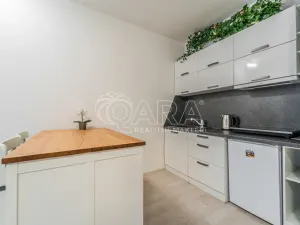 Pronájem bytu 1+kk, Praha - Karlín, U Mlýnského kanálu, 36 m2