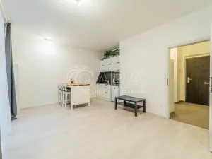 Pronájem bytu 1+kk, Praha - Karlín, U Mlýnského kanálu, 36 m2