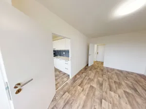 Pronájem bytu 1+1, Ostrava, Gen. Hrušky, 38 m2