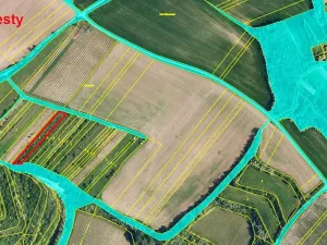 Prodej sadu/vinice, Nikolčice, 2568 m2