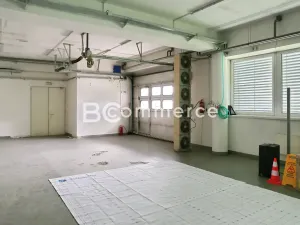 Pronájem skladu, Brno, Vídeňská, 175 m2