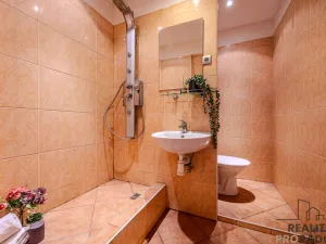 Prodej bytu 1+1, Ostrava - Moravská Ostrava, Šalamounská, 37 m2